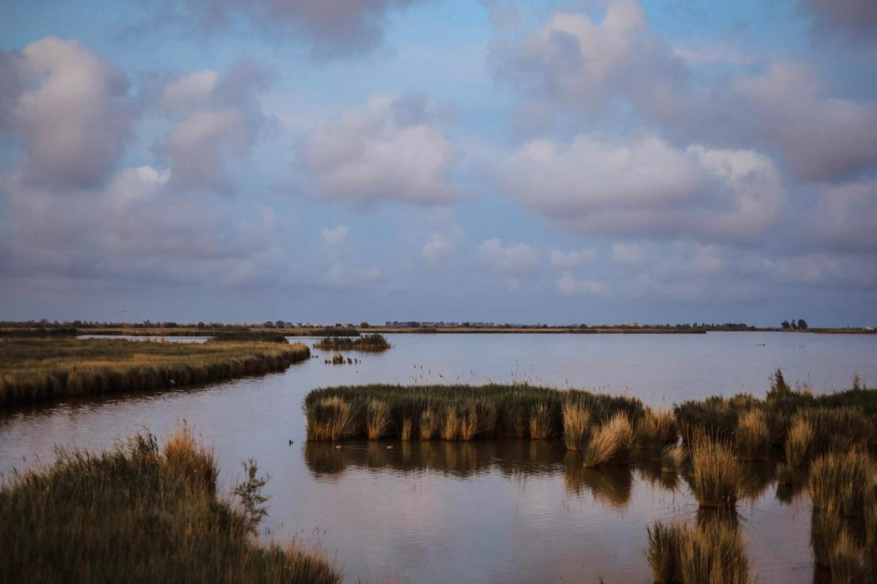 La Casita Del Poble Nou Del Delta Villa ภายนอก รูปภาพ